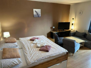 Apartmán Železná Ruda, Zelezná Ruda